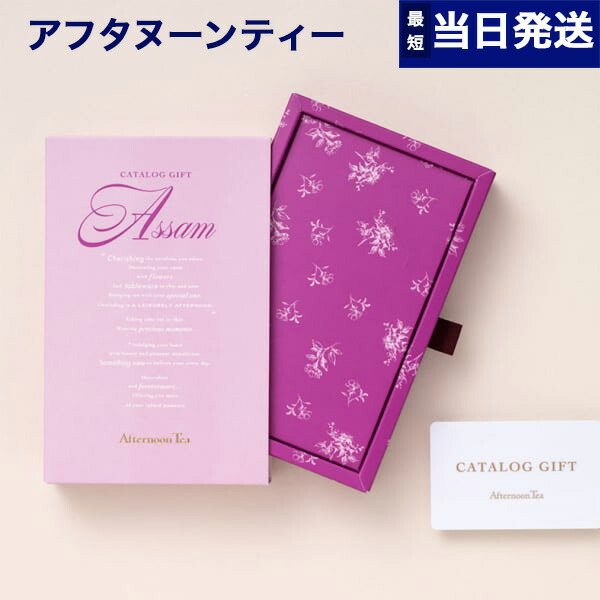 カタログギフト Dayjicling Afternoon Tea カタログギフト Dayjicling Afternoon Tea Afternoon Tea