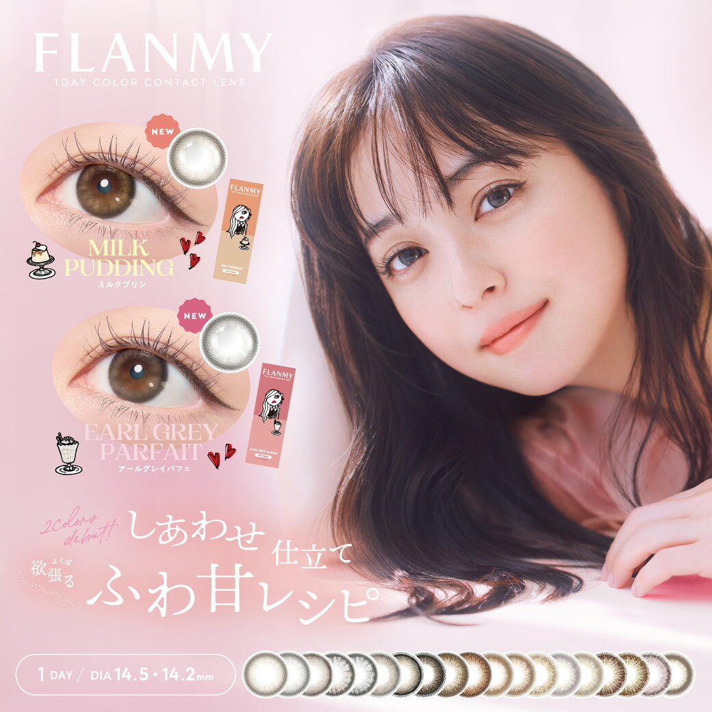 フランミーワンデー FLANMY 1day 10枚入 6箱 カラコン 1day 度あり 度なし ブラウン 商品情報に記載 コンタクト 佐々木希 定期便 定期購入対応