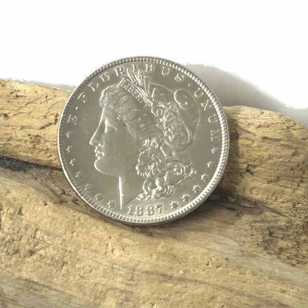 楽天市場】1878年〜1890年 計13枚 カウントアップ モルガンコンチョ/1