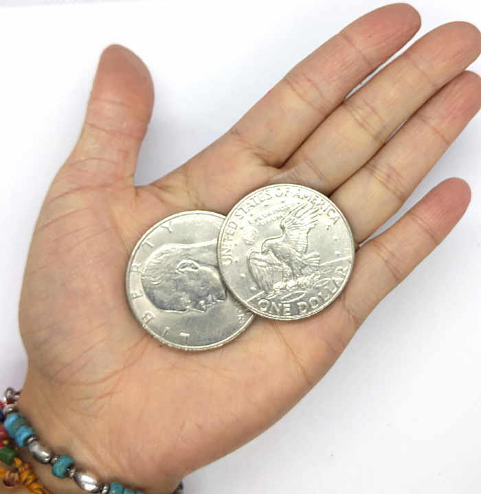 【楽天市場】coin-9 1ドルコイン【1974年】アイゼンハワー【イーグル】本物硬貨 アクセサリー 材料 パーツ クラフト コンチョ：CROSS