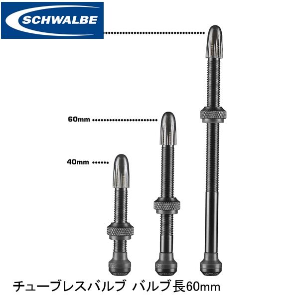SCHWALBE (シュワルベ) バルブエクステンション2個入り (シルバー 17mm) [並行輸入品] Amazon | SCHWALBE(シュワルベ) 【正規品】バルブ