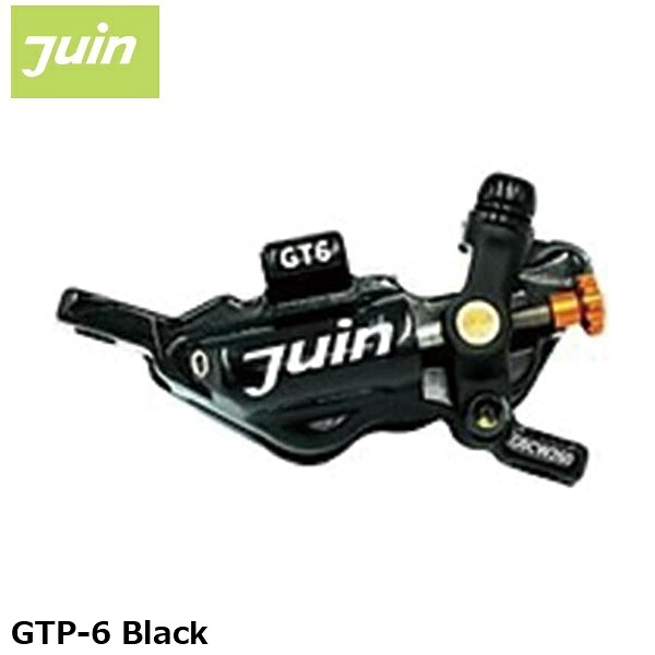 JuinTech ジュインテック GTP-6 Black 銀輪用レコード盤打ちきり