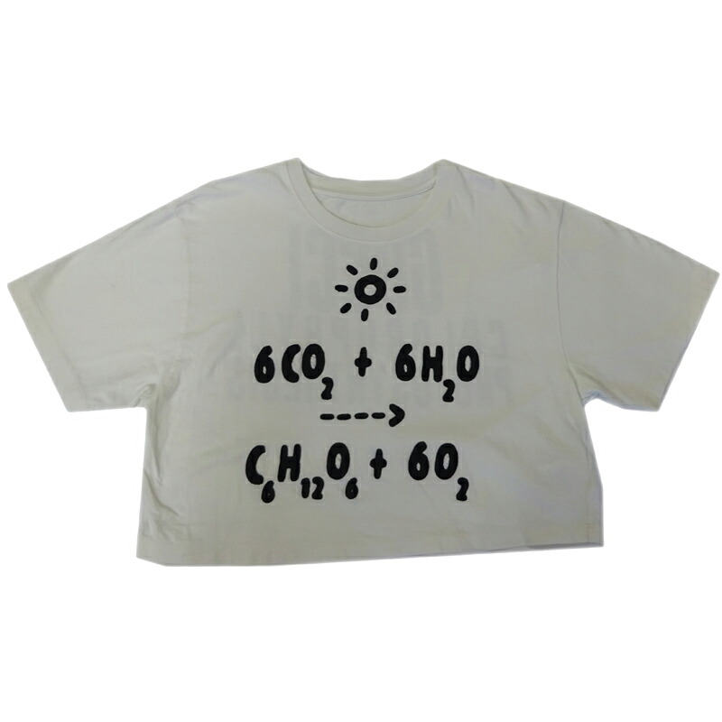 【飯能中央局】 グッチ 刺しゅう プルオーバー #XS (160/84Y) レディース 半袖Ｔシャツ 440103 X3F05 1508 綿織物 白いこと DH91522【大黒屋質店見せびらかす】 【中古】【貨物輸送無料】【店先受け取り証書相応う商いもの】
