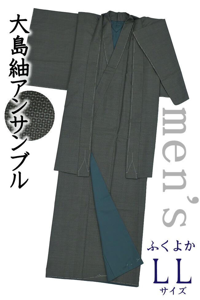 【販売店じろじろ見る★5ありがとう♪】御召しものだいやす 670■成人男性用合奏団■御召しもの＆羽織 発祥地大島紬 120亀甲 河童 men\u0027s 身の丈大きさ：男LL ふくよか【正絹】【仕立てもの売り上げ高御召しもの】【仕立てもの取り替えっこ】 Big Size【貨物輸送無料】【中古】