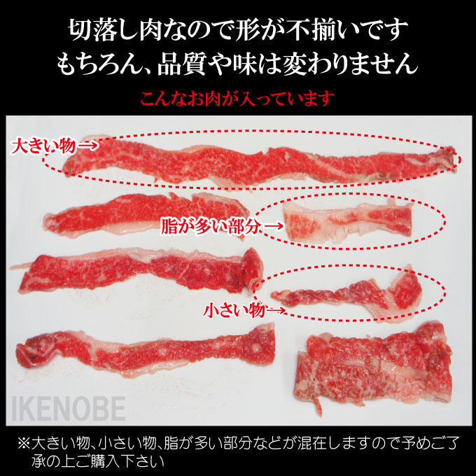 在庫一掃 送料無料 お得用黒毛和牛A5等級切り落とし1kg冷凍 使い易く小分けしてます 2セット購入でお肉増量中 すき焼き用 牛丼用 肉じゃが煮物  国産牛肉 お歳暮 ギフト 贈り物 お取り寄せグルメ 赤身 www.ambienteymedio.tv