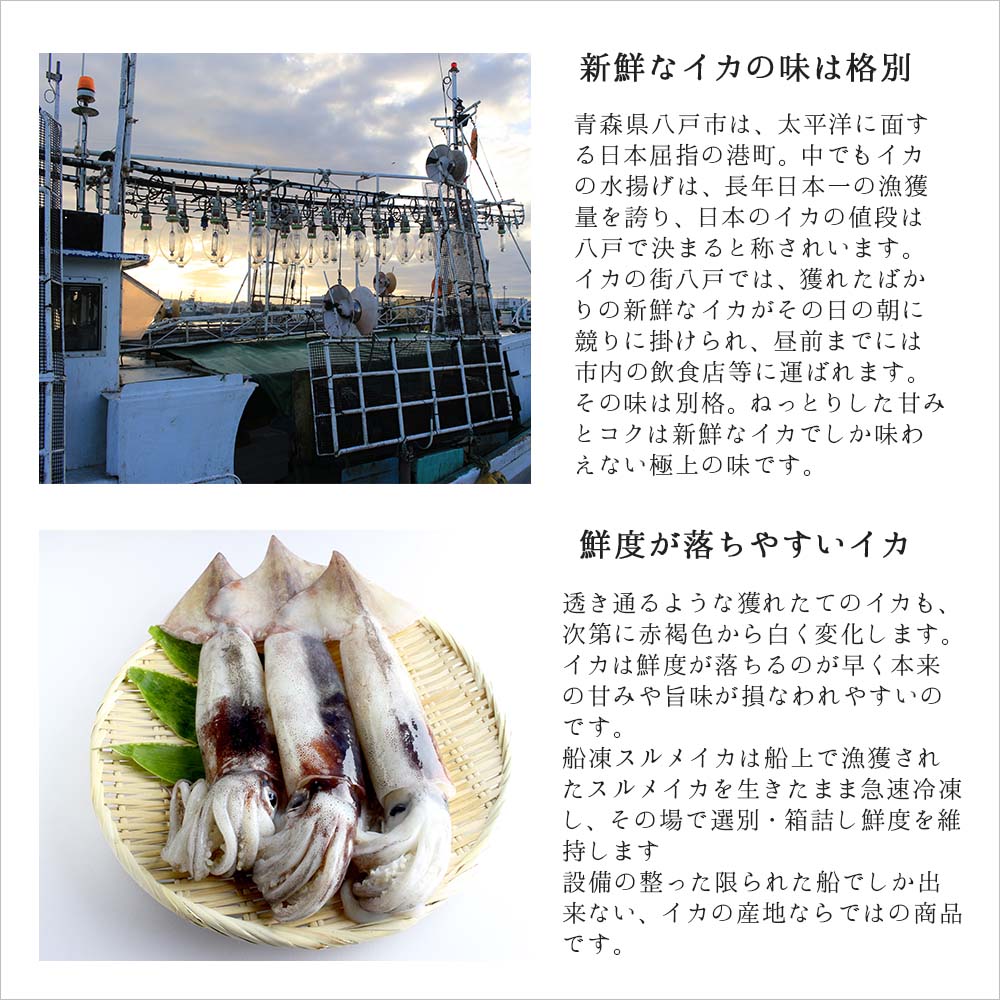 みなママプロフィールお読み下さい☆　イカ、干物 楽天市場】【エントリーでポイント7倍 9/4～9/11】 いかくん短冊
