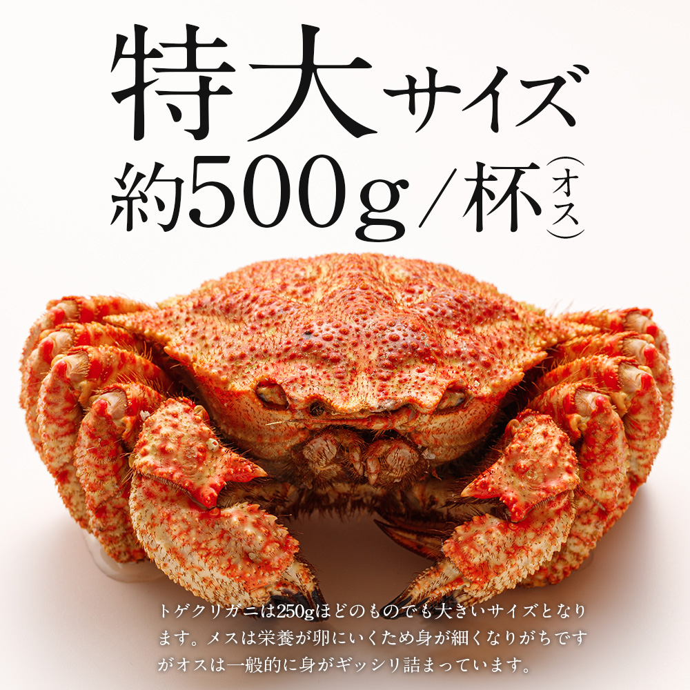 55%OFF!】 ボイル毛蟹6尾 400g前後 北海道産 送料込み ad-naturam.fr