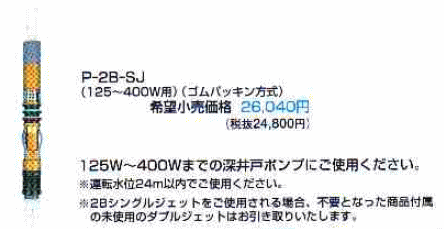 テラル　P-2B-SJ　深井戸用2Bシングルジェット　（125W～400W用）　【RCP】　05P27May16