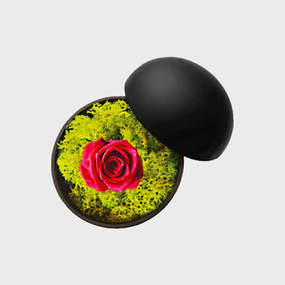 楽天市場】【12/13-P最大5倍】倉俣史朗 フラワーベース シングル