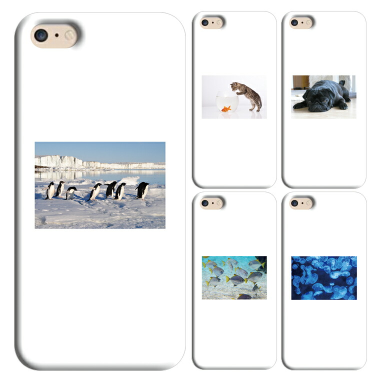 楽天市場 スマホケース Zenfone2 Laser 6インチ Ze601kl 専用 スマホ ケース カバー ゼンフォン2 レーザー スマホカバー かわいい 可愛い オシャレ ハードケース プレゼント ギフト メンズ レディース キッズ 送料無料 スマホケース専門店 プリスマ