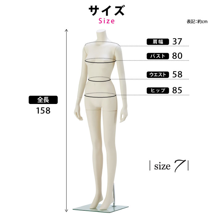 全国組立設置無料 条件付き 全身マネキン レディース 7号 直立ポーズ ヘッドレス 腕有り 固定アーム アイボリー 専用強化ガラスベース Sbt11 A31v 北海道 沖縄 離島送料別途 マネキントルソーの店 店w 超人気 Sinepulse Com