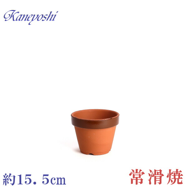imgrc0069802019.jpg