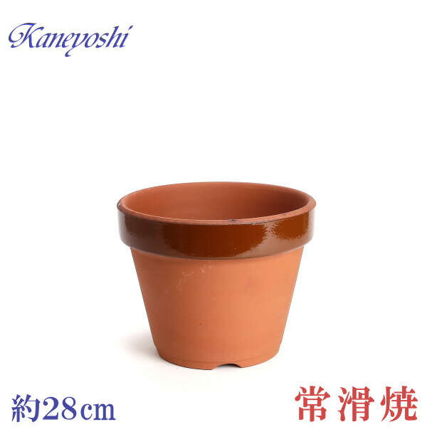 imgrc0069811926.jpg