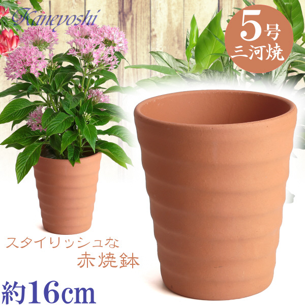 楽天市場】植木鉢 陶器 おしゃれ サイズ １８cm 安くて丈夫 駄温鉢 浅型 ６号 : 植木鉢 メダカ鉢 七輪のどっちゃん