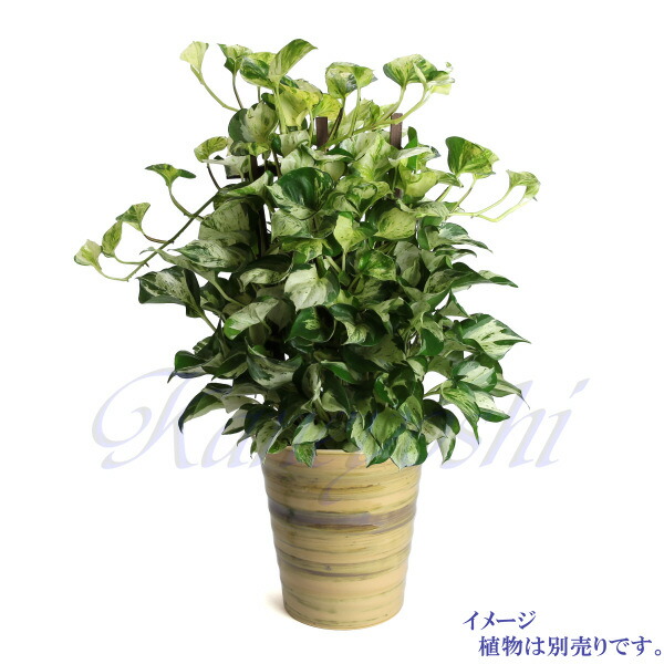 花ポット 陶製 洒落た 大きさ フラワークリエイター 琥珀 サイズ Foxunivers Com