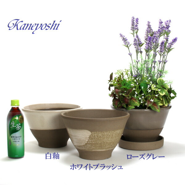 良好で支える 器 浅フォルム アリア 白いこと毛払い 8号数 25cm 粗有 