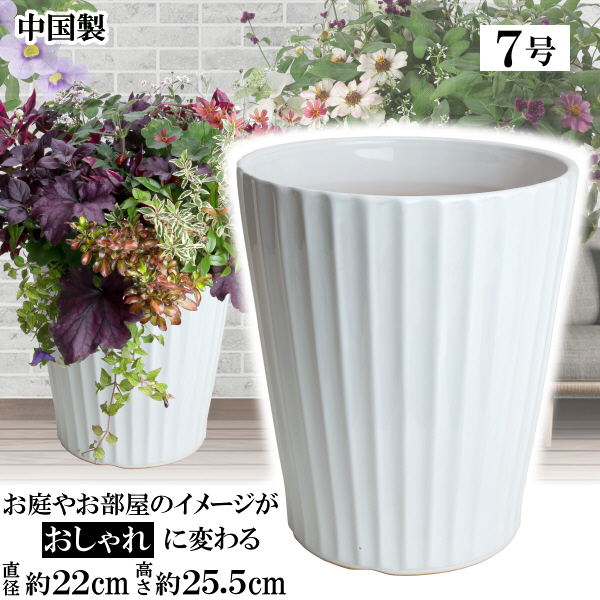 楽天市場】MIQ220 7号 ホワイト & 受皿MEQ210 ホワイト 植木鉢 楽天市場】MIQ220 7号 ホワイト & 受皿MEQ210 ホワイト 植木鉢