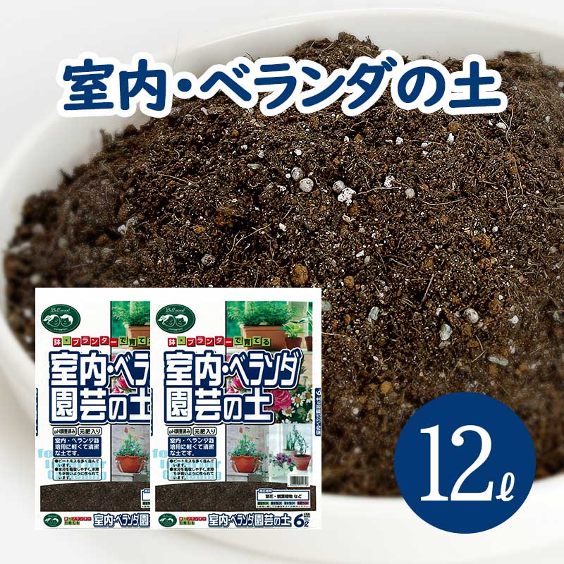 otentosun_4535885100126