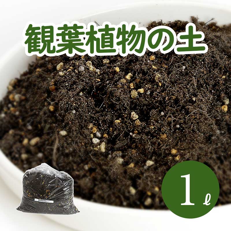 楽天市場 葉色が良くなる 観葉植物の土 小分け 1l 1l 1袋 元肥入り Ph調整済み 観葉植物用 土 パーク堆肥 ピートモス ココピート 赤玉土 鹿沼土 軽石 水はけ 保肥力 土 室内 小分け ガーデニング資材 鉢 プランターで育てる 観葉植物の土 植木鉢 メダカ鉢 七輪の
