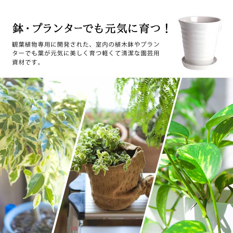 楽天市場 葉色が良くなる 観葉植物の土 小分け 6l 6l 1袋 元肥入り Ph調整済み 観葉植物用 土 パーク堆肥 ピートモス ココピート 赤玉土 鹿沼土 軽石 水はけ 保肥力 土 室内 小分け ガーデニング資材 鉢 プランターで育てる 観葉植物の土 植木鉢 メダカ鉢 七輪の