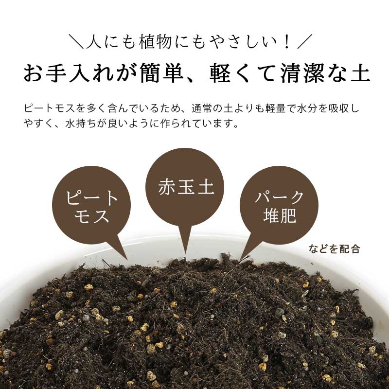 楽天市場 葉色が良くなる 観葉植物の土 小分け 12l 6l 2袋 元肥入り Ph調整済み 観葉植物用 土 パーク堆肥 ピートモス ココピート 赤玉土 鹿沼土 軽石 水はけ 保肥力 土 室内 小分け ガーデニング資材 鉢 プランターで育てる 観葉植物の土 植木鉢 メダカ鉢 七輪