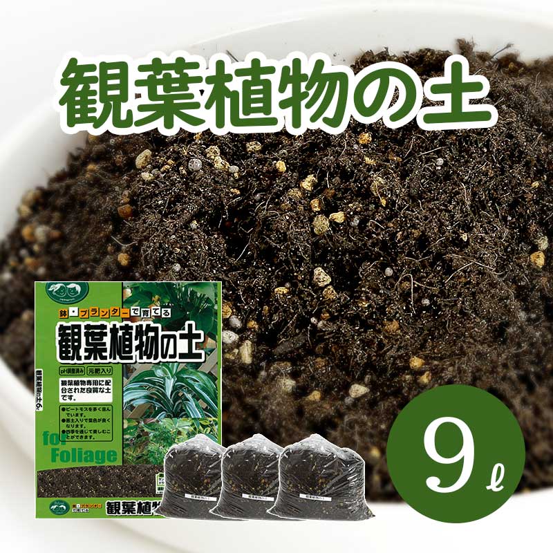 楽天市場 葉色が良くなる 観葉植物の土 小分け 9l 6l 1袋 1l 3袋 元肥入り Ph調整済み 観葉植物用 土 パーク堆肥 ピートモス ココピート 赤玉土 鹿沼土 軽石 水はけ 保肥力 土 室内 小分け ガーデニング資材 鉢 プランターで育てる 観葉植物の土 植木鉢 メダカ