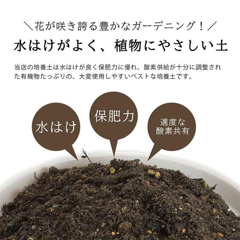 60％OFF】 花ごころ フルボ酸配合 花ちゃん培養土 ５Ｌ ＩＢのチカラ お一人様１０点限り