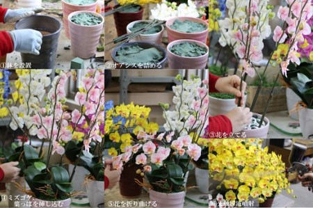 空気清浄効果お手入れ不要のお花を贈ってみませんか花 観葉植物お祝い造花花造花ギフト新築記念品出産誕生日結婚式発表会新築開店祝光触媒胡蝶蘭大輪 空気清浄効果お手入れ不要のお花を贈ってみませんか花 観葉植物お祝い造花花造花ギフト新築記念品出産誕生日結婚式発表会新築開店祝光触媒胡蝶蘭大輪