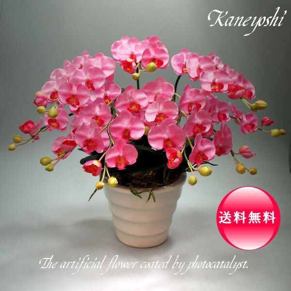 お祝い 花 造花 ギフト 記念品 出産 誕生日 結婚式 発表会 新築 開店 祝 光触媒 胡蝶蘭 小輪 5本立 ピンク|植木鉢 メダカ鉢 七輪のどっちゃん