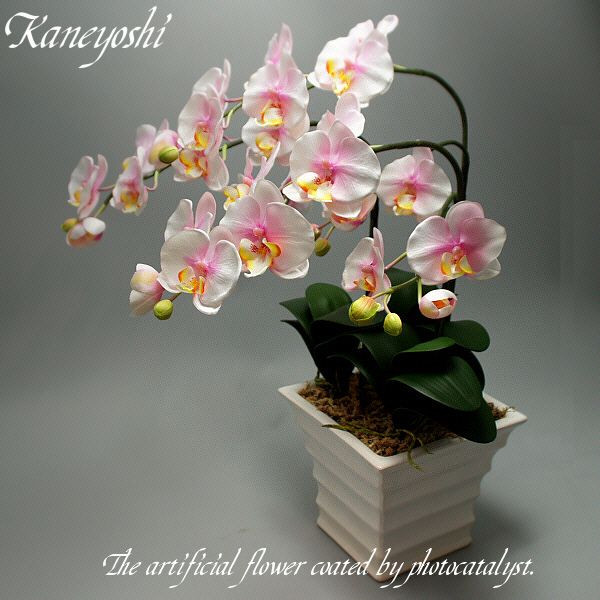 空気清浄効果 お手入れ不要のお花を贈ってみませんか 花 観葉植物 ギフト 記念品 お祝い 新築 花 出産 新築 祝 大輪 発表会 造花 誕生日 結婚式 開店 光触媒 胡蝶蘭 大輪 ３本立 ミルキーピンク 植木鉢 メダカ鉢 七輪のどっちゃん