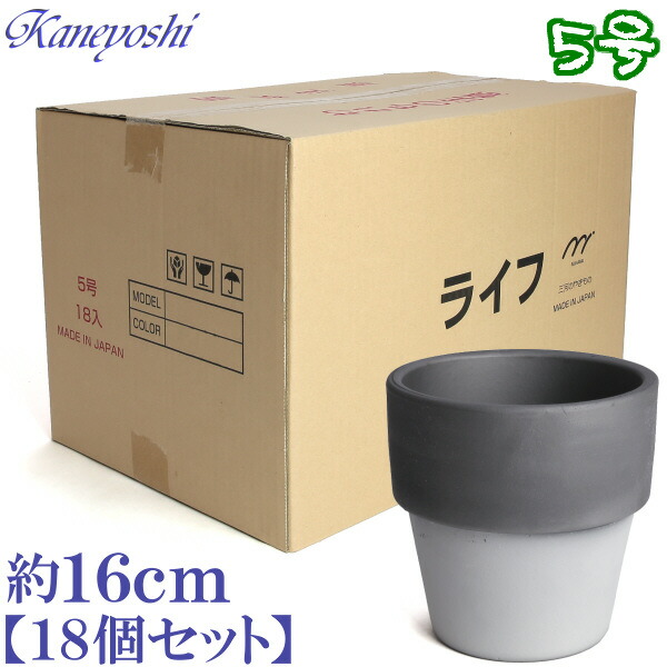 売れ筋 植木鉢 陶器 おしゃれ サイズ ５号 安くて植物にイイ ライフ ダークシルバー １６ｃｍ　１８個入り