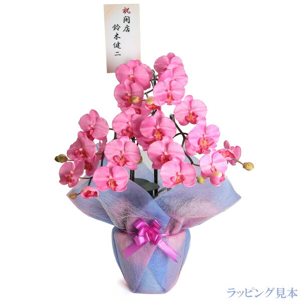 空気清浄効果お手入れ不要のお花を贈ってみませんか花 観葉植物お祝い造花花造花ギフト新築記念品出産誕生日結婚式発表会新築開店祝光触媒胡蝶蘭大輪