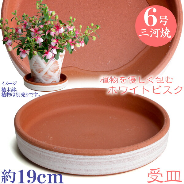 シャビーな陶器の植木鉢と受け皿セット(鉢6個、皿5枚) シャビーな陶器の植木鉢と受け皿セット(鉢6個、皿5枚) - メルカリ