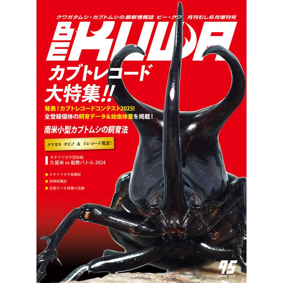 ビークワ  BEKUWA  1号〜88号　まとめ売り ビークワ88号（BE・KUWA） オオヒラタクワガタ大特集!!