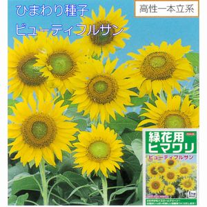 楽天市場】ひまわり種子 タキイ種苗 花の種 サンリッチバレンシア50