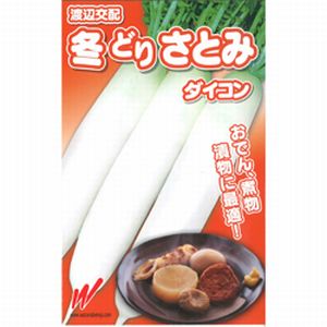 大根役者内果皮 渡辺農事 冬どりさとみ 1L ガーデニング・農業-花・ガーデン・DIY-野菜の種子