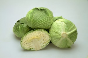 玉菜内果皮 カネコ種苗 冬そだち ペレット5000粒