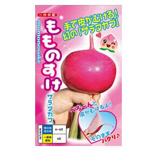 小僧内果皮 ナント種苗 もものすけ 1ｄｌ ガーデニング・農業-種子
