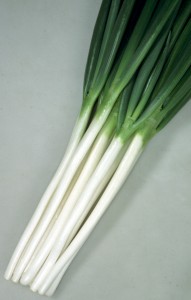 ねぎ内果皮 カネコ種苗 夏場所 2デシリットル