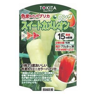 パプリカ種子 トキタ種苗 スイートカメレオン・ロング 100粒|e-たねや