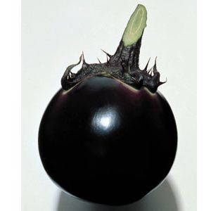 茄子内果皮 タキイ種苗 早生大丸 2000粒