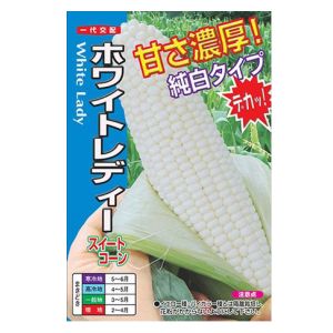玉蜀黍内果皮 ナント種苗 真っ白いおお其の儀 スィートコーン 2000粒