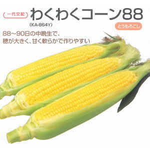 唐きび内果皮  カネコ種苗  わくわく唐きび88 2000粒
