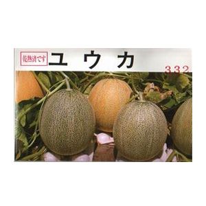 瓜内果皮  園芸草木科学研究所  ユウカ 100粒