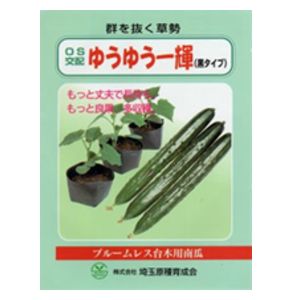 胡瓜台木用内果皮  埼玉原種育みそだてる会  ゆうゆう一輝 黒手合い   350粒 ブルームレス台木用内果皮用西洋カボチャ