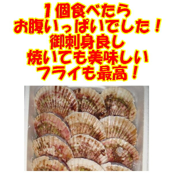 楽天市場】「活」北海道産「ワタリ蟹」3Kg入り 【RCP