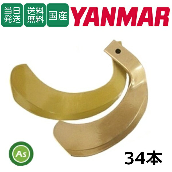 y-gold-h-34.jpg