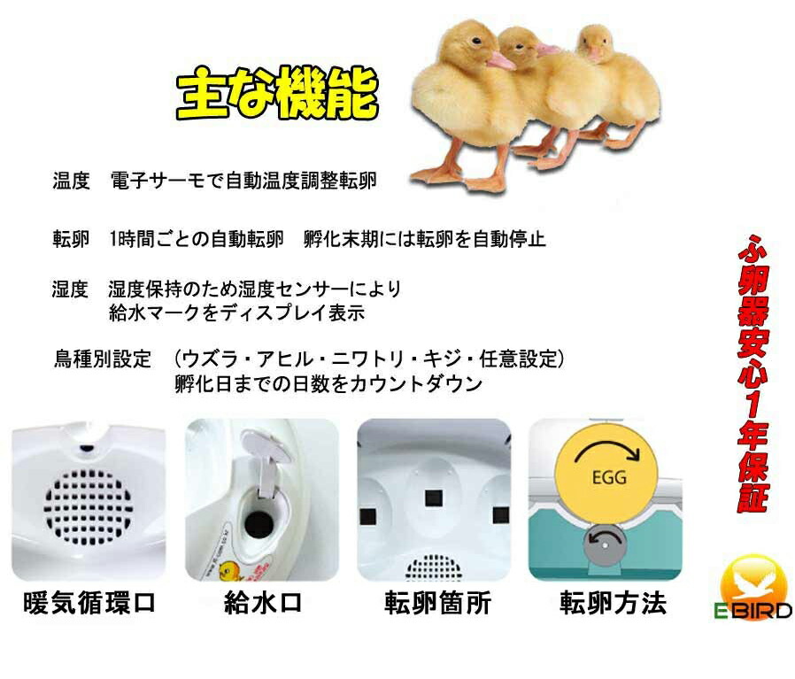 楽天市場 リトルママ 小型自動孵卵器 ふ卵器 ふ卵機 Eバード楽天市場店