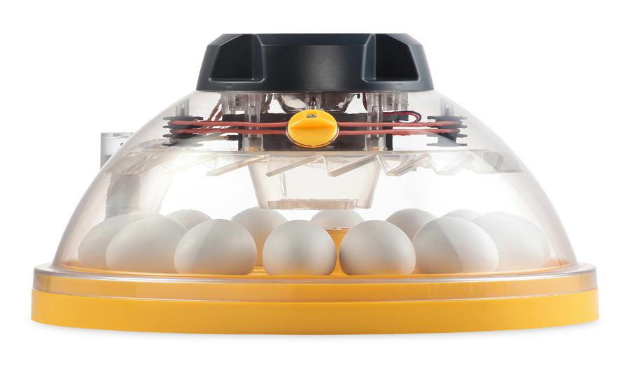 【楽天市場】マックスアドバンス2 小型自動孵卵器 イギリス製(ふ卵器・ふ卵機)：eバード楽天市場店