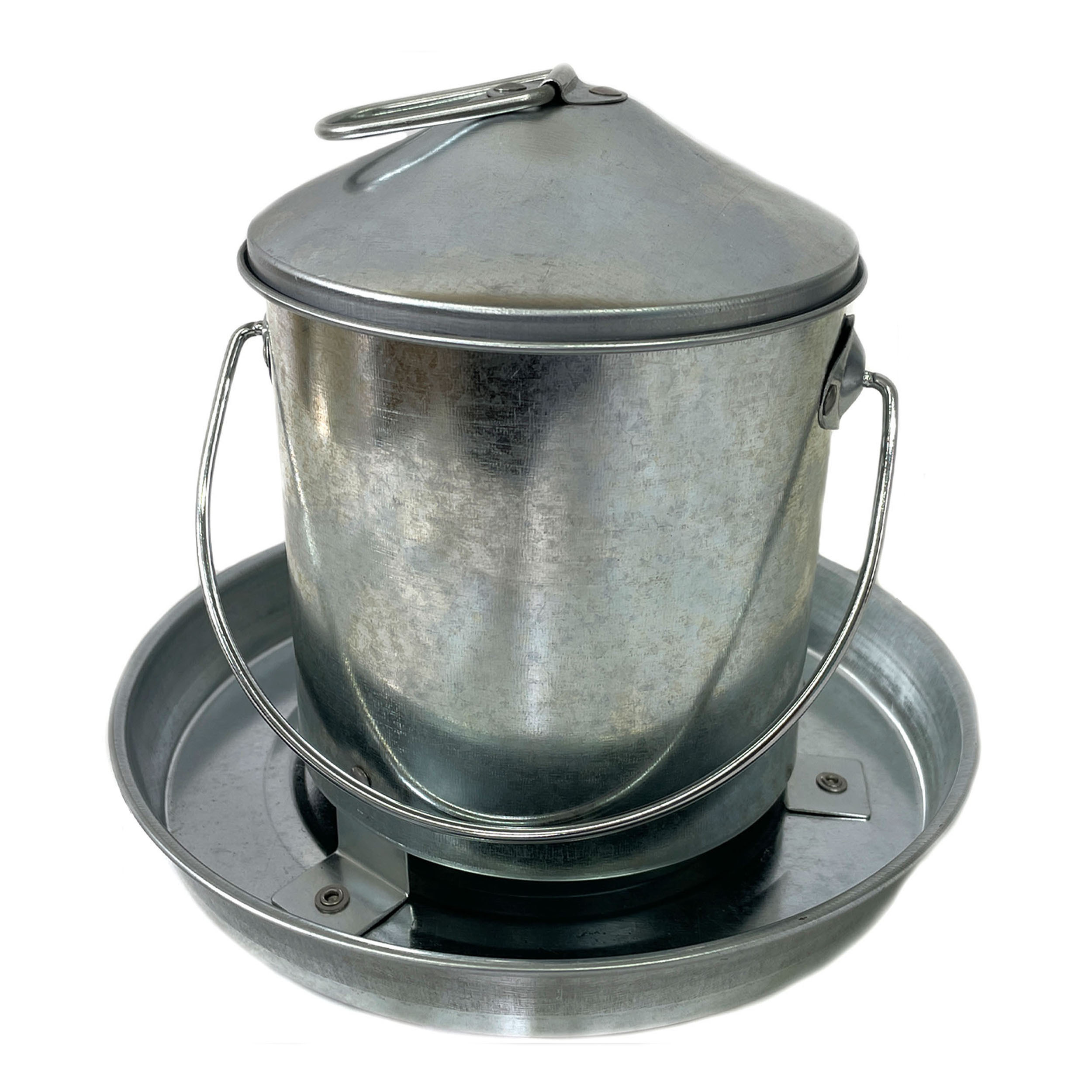 楽天市場】爬虫類用孵卵器 レプタイルMAX90 ジュラゴン : eバード楽天